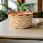 Colored Snacks Plate