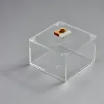 Resin squared box