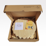 Paint it Yourself Chair