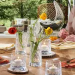 Pasabahce Leafy Old Fashioned Glass - 300ml