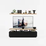 Sheel TV Unit