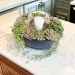 Cactus Set with Candle Holder