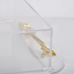 Food container 1 slot