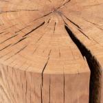 Tree Trunk Coffee Table