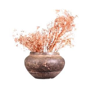 Baby's breath flower