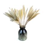 Cat Tails Dried Flowers