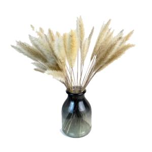 Cat Tails Dried Flowers