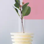 Layers Cup Vase
