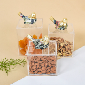 Collage Bird Plexi Boxes set of 3