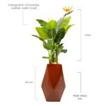 Orange bird of Paradise