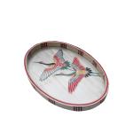 Bright color bird tray