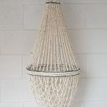 Conchas Chandelier