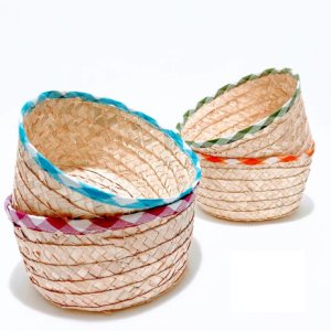 Colored Snacks Plate