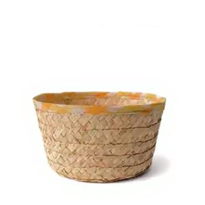 Colored Snacks Plate