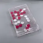 Back Gammon ( Tawla )